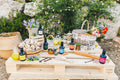 Pic Nic in oliveta